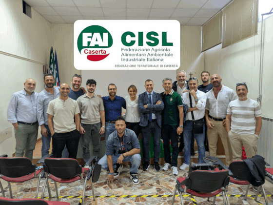 Corso di aggiornamento R.S.U. FAI-CISL Caserta