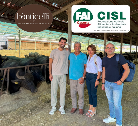 Ponticelli, qualità, innovazione e filiera corta: la mozzarella nasce dal territorio